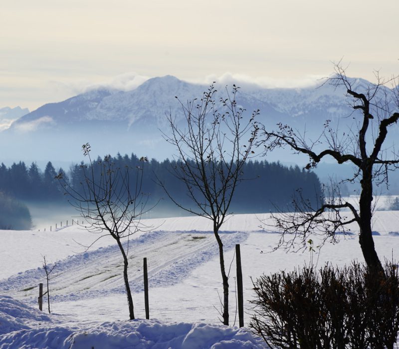 Weihnachtserlebnis