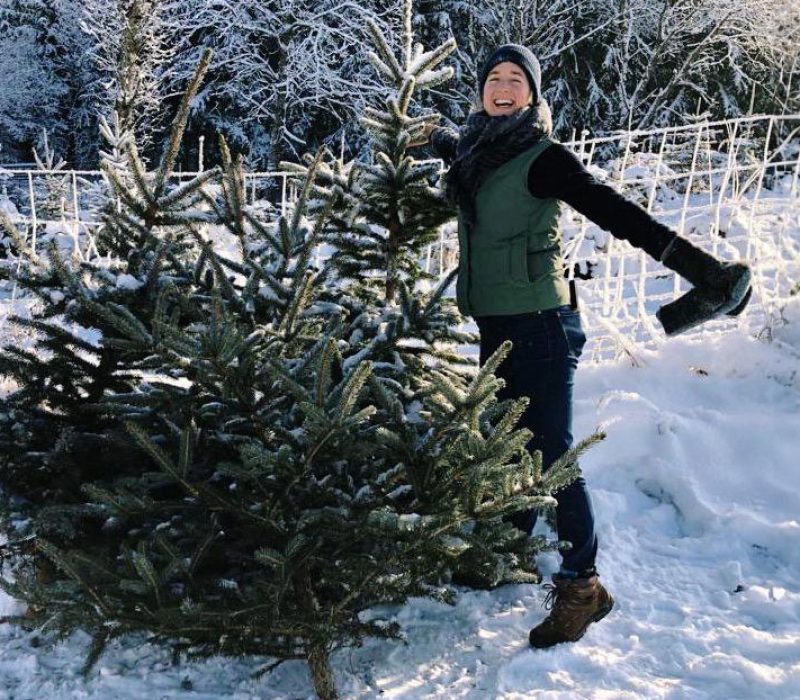 Christbäume selber schlagen